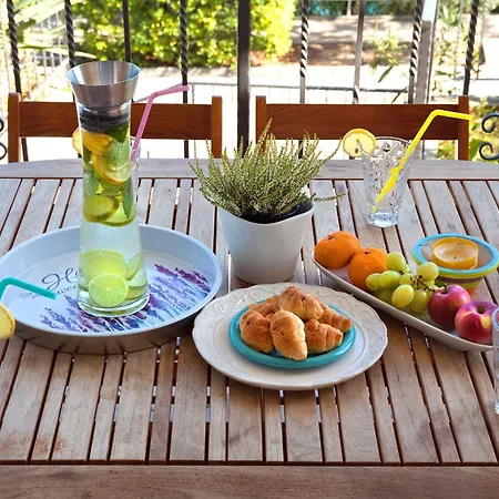 Splendid Beachfront 公寓 *